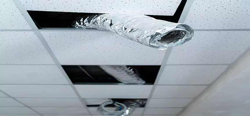 Affordable HVAC Sanitizing After Pest Removal in San Jose