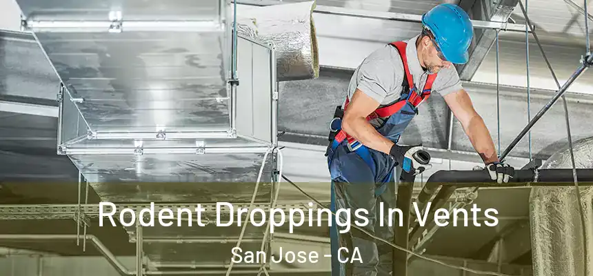  Rodent Droppings In Vents San Jose - CA
