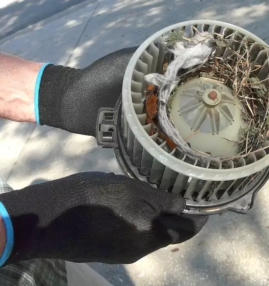 About Air Duct Mice Removal in San Jose, CA