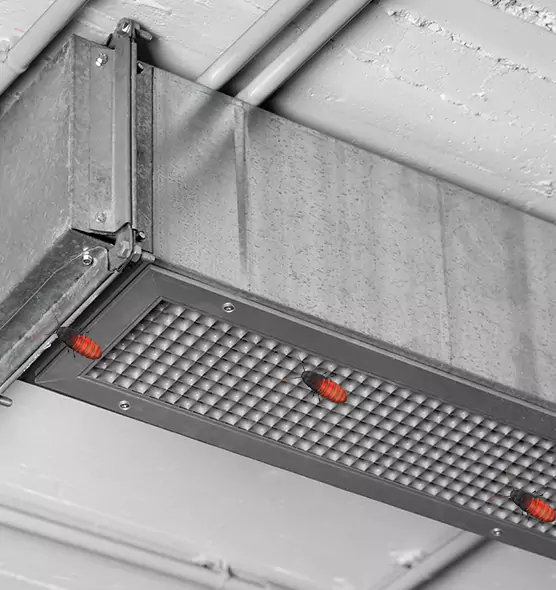 Affordable Insect Removal from Air Ducts in San Jose, CA