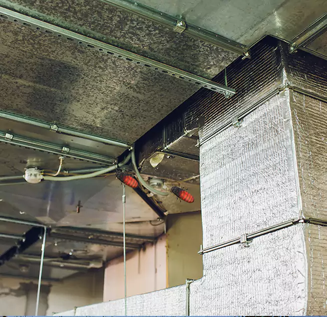 Why Homeowners & Businesses Trust Us in San Jose, CA?