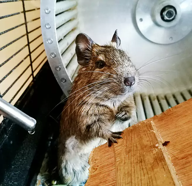 Why Homeowners & Businesses Trust Us San Jose, CA