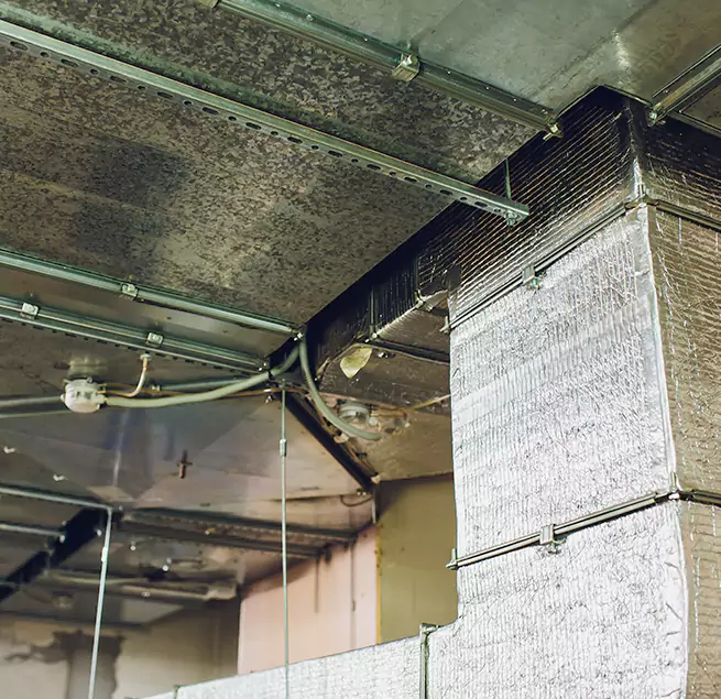 Why Homeowners & Businesses Trust Us in San Jose, CA?